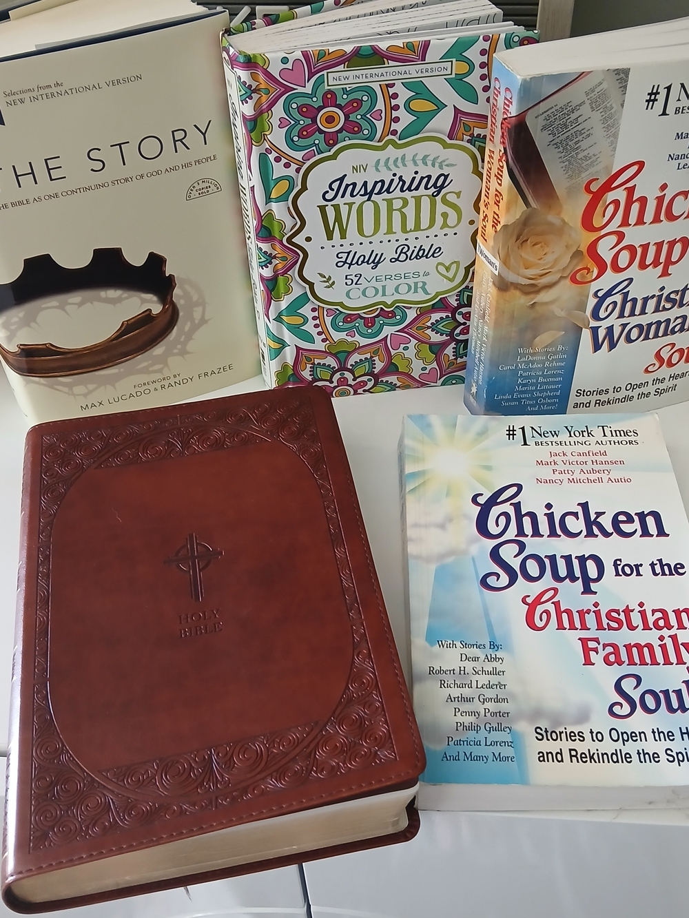 LEATHER BOUND Holy Bible, The Story, Chicken Soup For Christian Soul + More ✝️